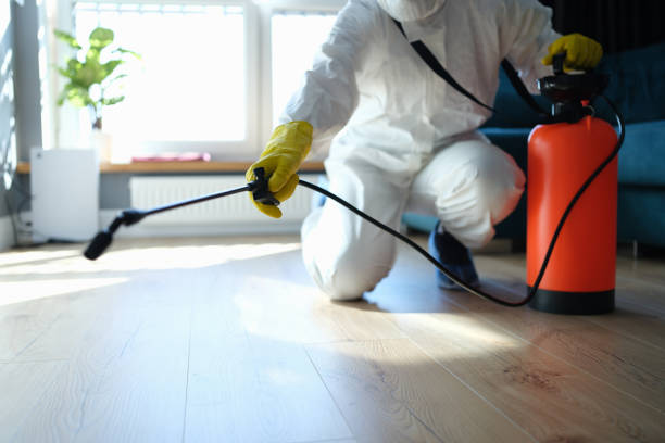 Reliable Biohazard Cleanup contractor in Newbury Park, CA by Trauma Clean Pros